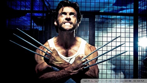 wolverine wallpaper. Rate this wallpaper