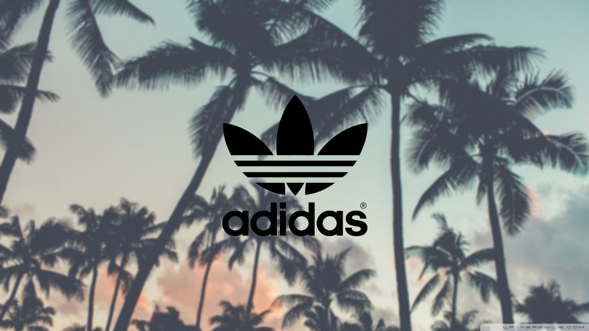 adidas wallpaper desktop