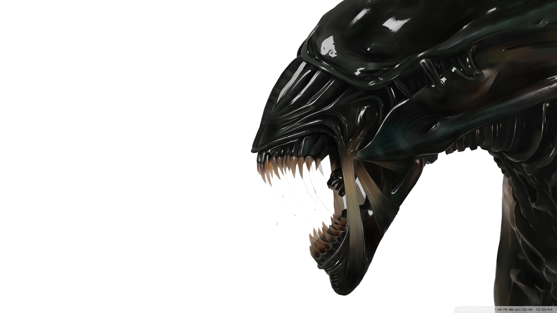 Alien Ultra HD Desktop Background Wallpaper for 4K UHD TV : Tablet : Smartphone Alien Ultra HD Desktop Background Wallpaper for 4K UHD TV : Tablet : Smartphone