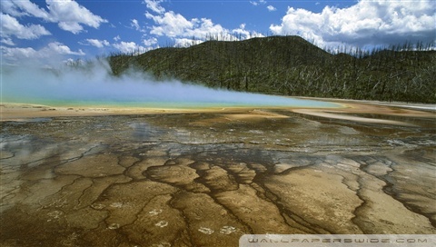 yellowstone wallpaper. Rate this wallpaper