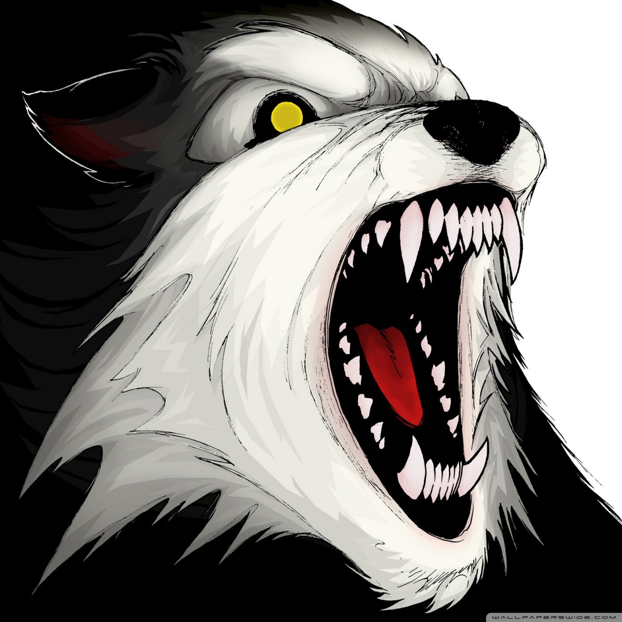 Angry Wolf Ultra HD Desktop Background Wallpaper for : Tablet : Smartphone