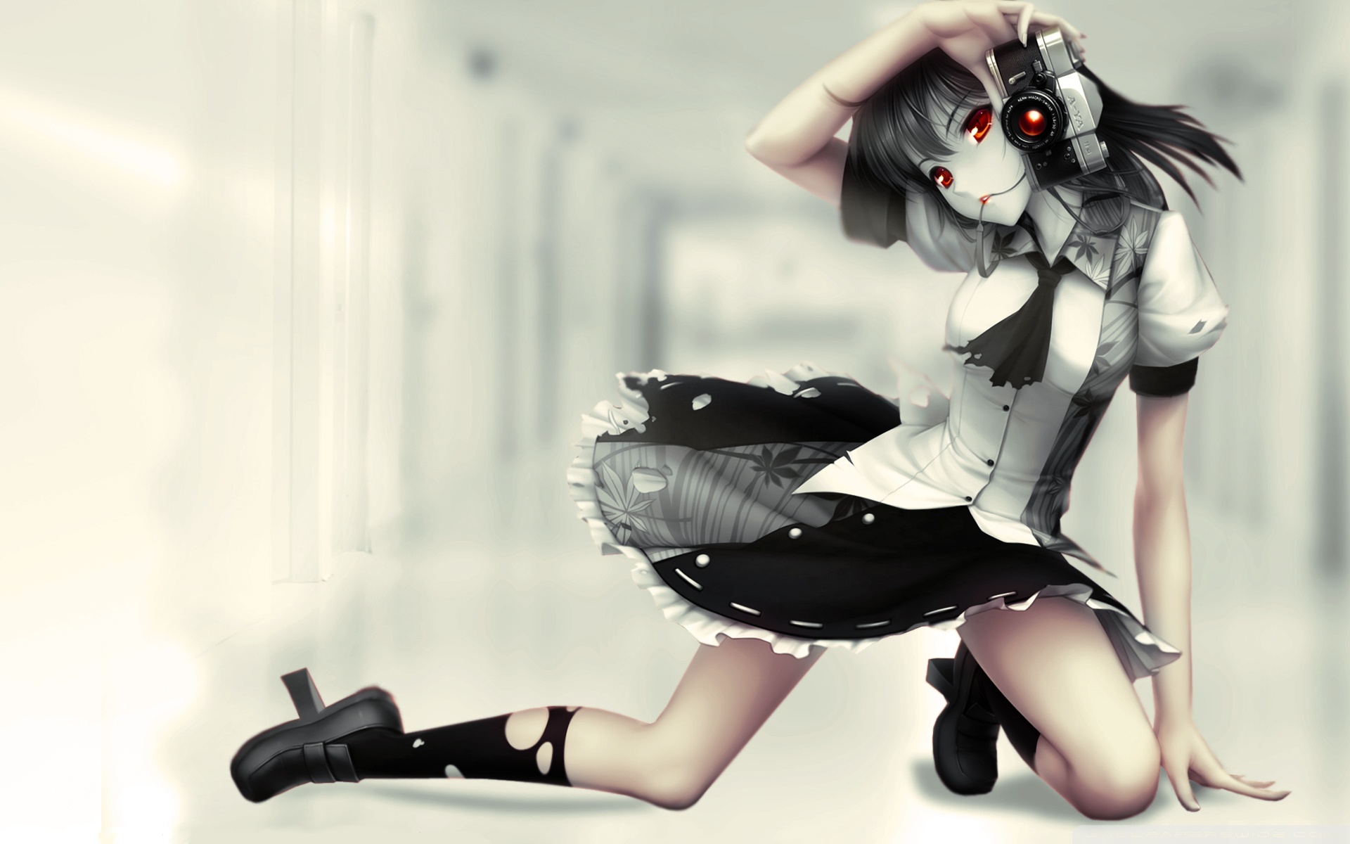 Anime Girl With Camera Ultra HD Desktop Background Wallpaper for