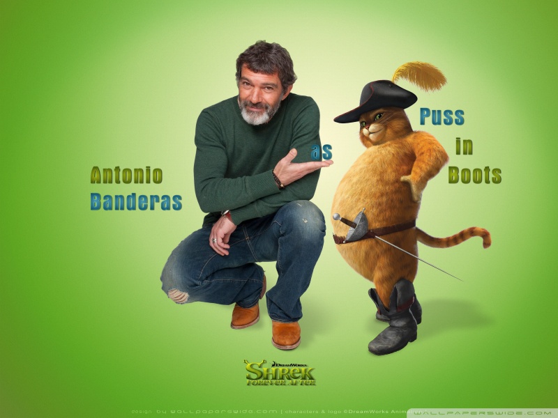 antonio banderas as puss in boots shrek forever after wallpaper 800x600