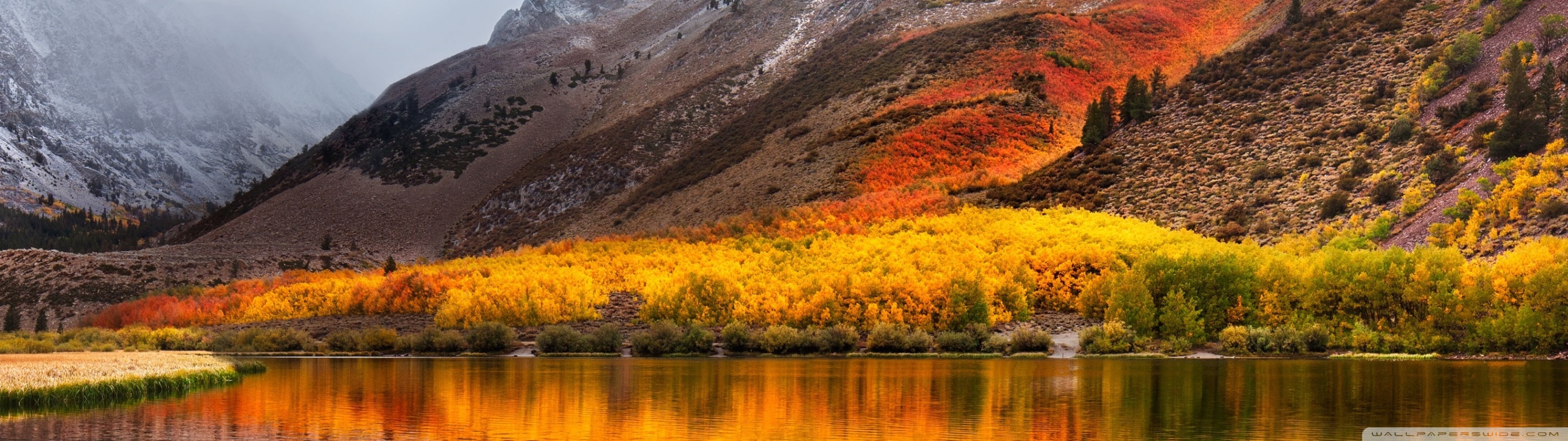 Wallpaper For Mac Os High Sierra