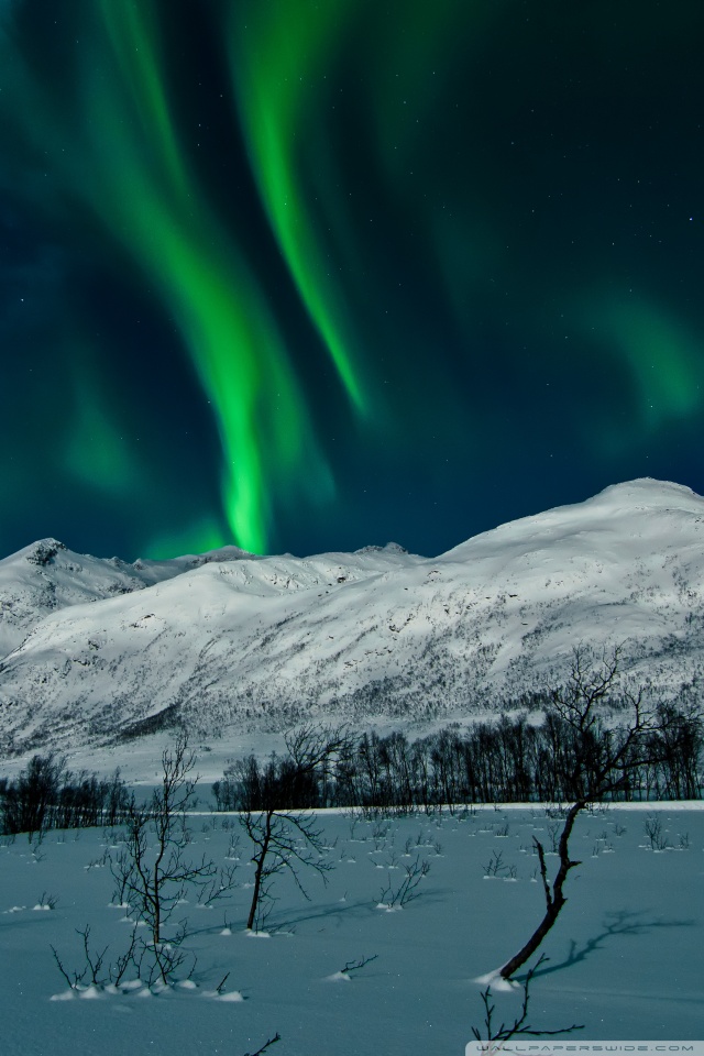 Aurora Borealis Tromso Norway Ultra Hd Desktop Background Wallpaper