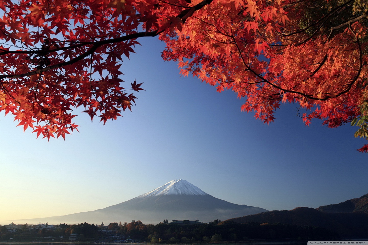 Autumn, Mount Fuji, Japan Ultra HD Desktop Background Wallpaper for 4K UHD  TV : Tablet : Smartphone