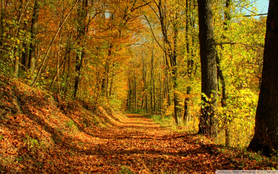 autumn_promenade-960x600.html