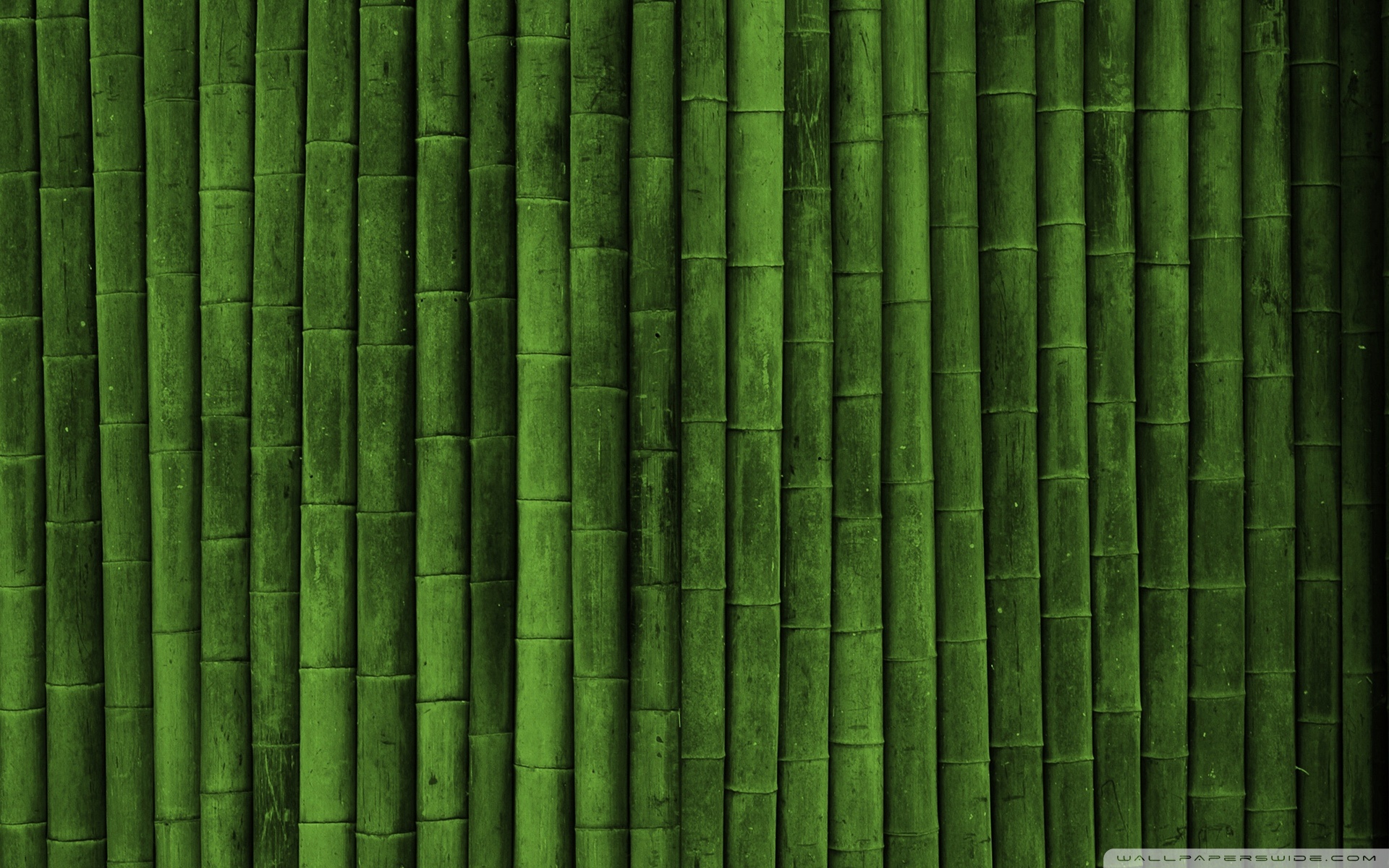 bamboo wallpaper on Bamboo  Wallpaper  Wallpapers   420235