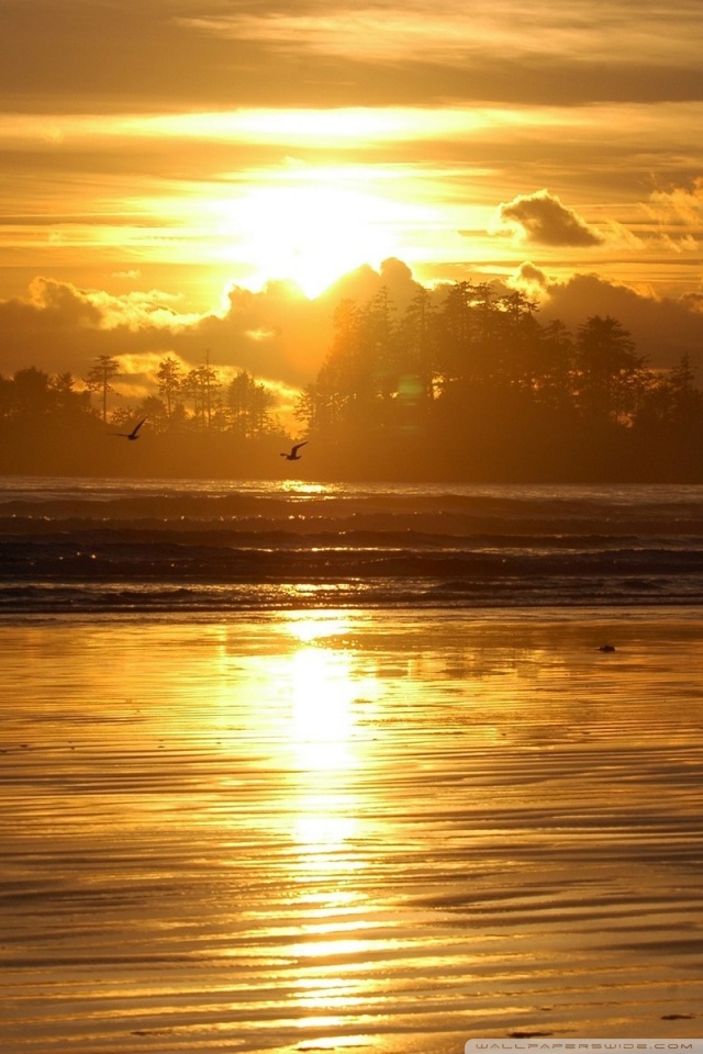 Beach Sunrise Iphone Wallpaper