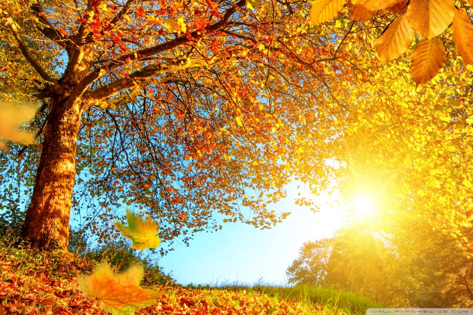 Beautiful Autumn Landscape 4k Hd Desktop Wallpaper For 4k Ultra