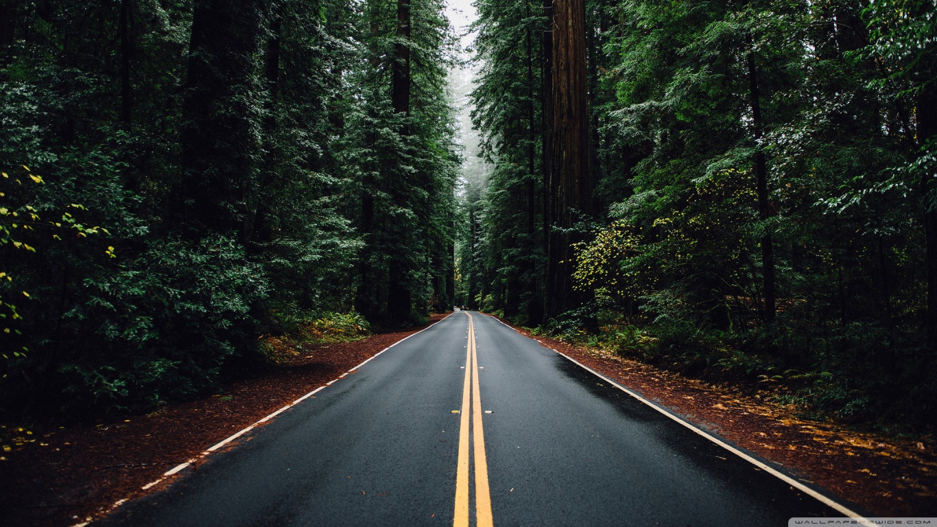 Hd Wallpapers Nature Road
