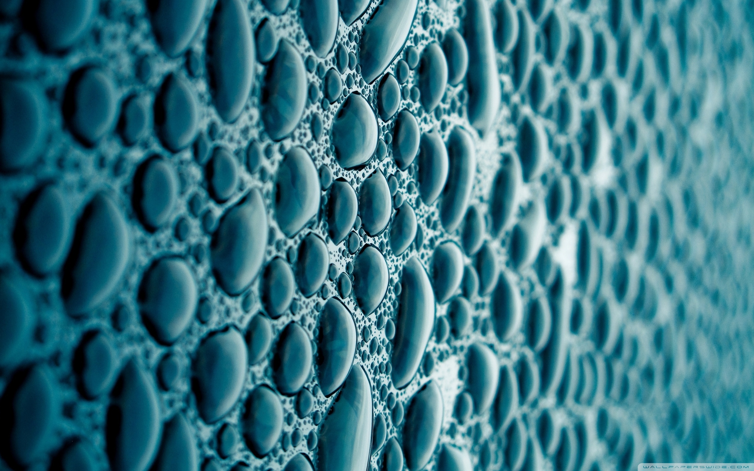 blue drop wallpaper