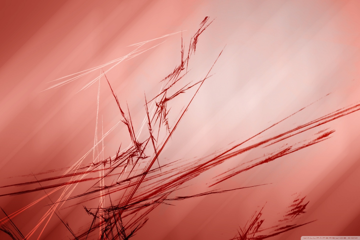 Brown - Red Ultra HD Desktop Background Wallpaper for 4K UHD TV