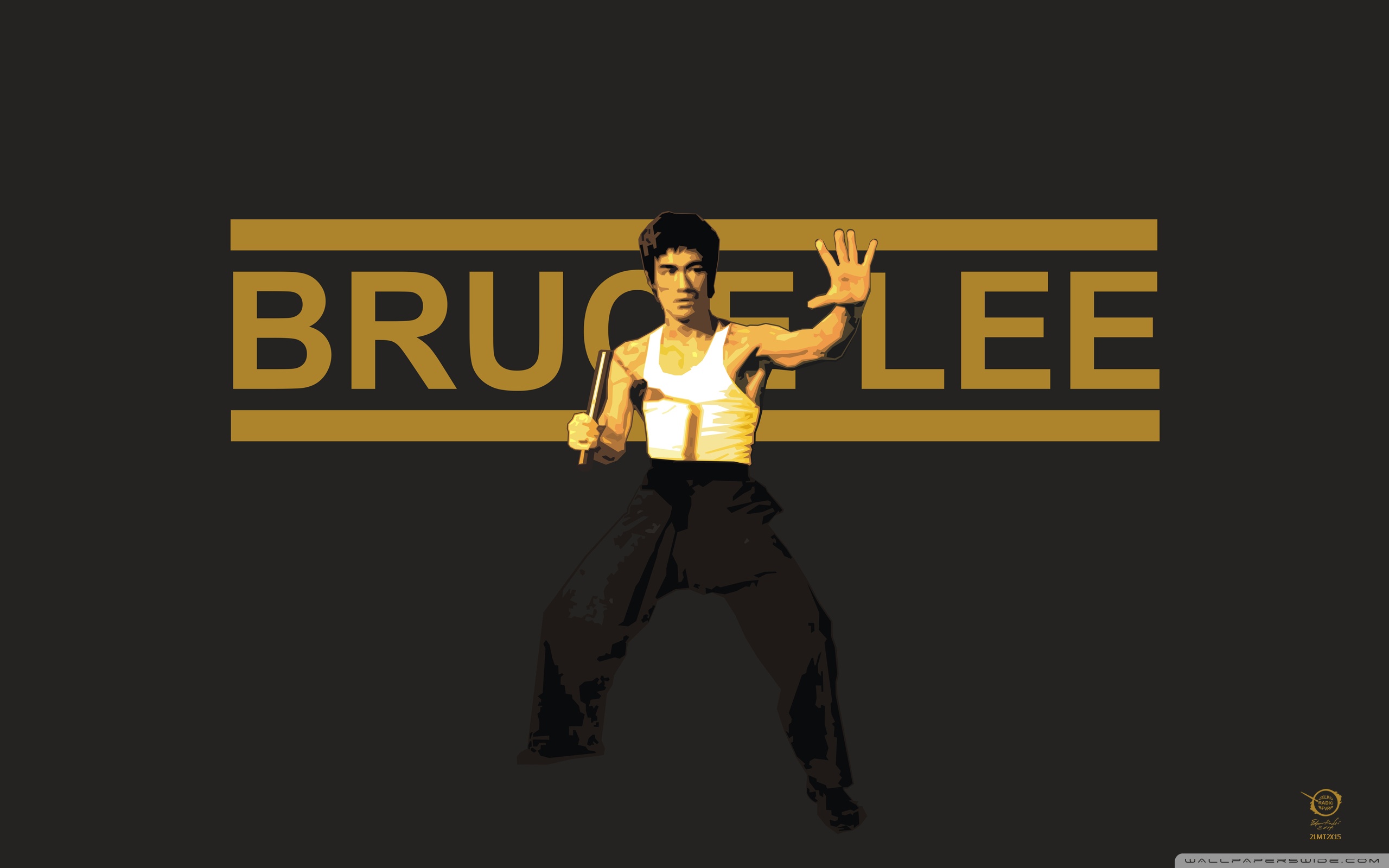 Bruce Lee Ultra HD Desktop Background Wallpaper for 4K UHD TV : Tablet :  Smartphone