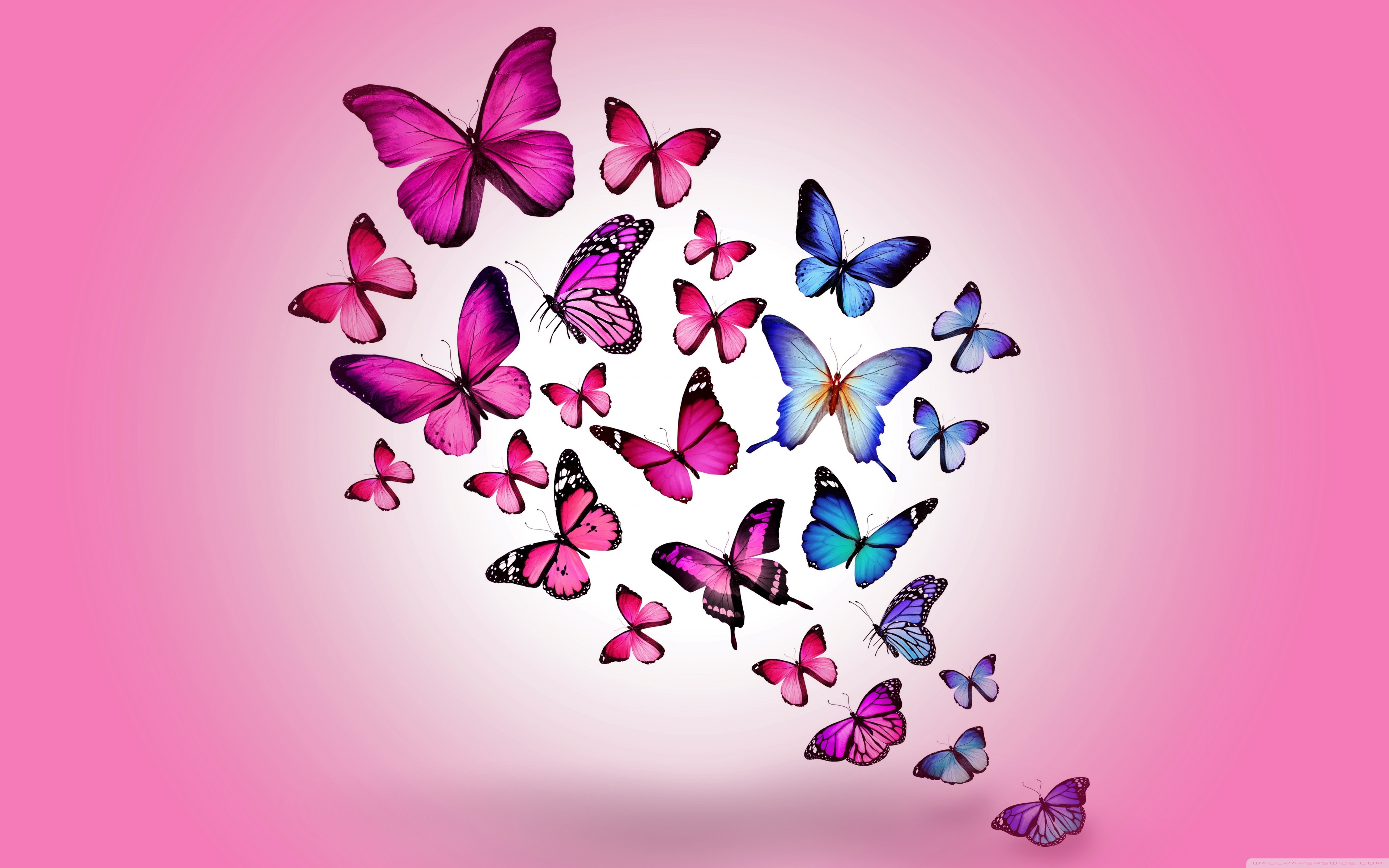 Download 21 purple-butterflies-backgrounds Purple-butterflies-Butterfly-wallpaper-Butterfly-painting-.jpg