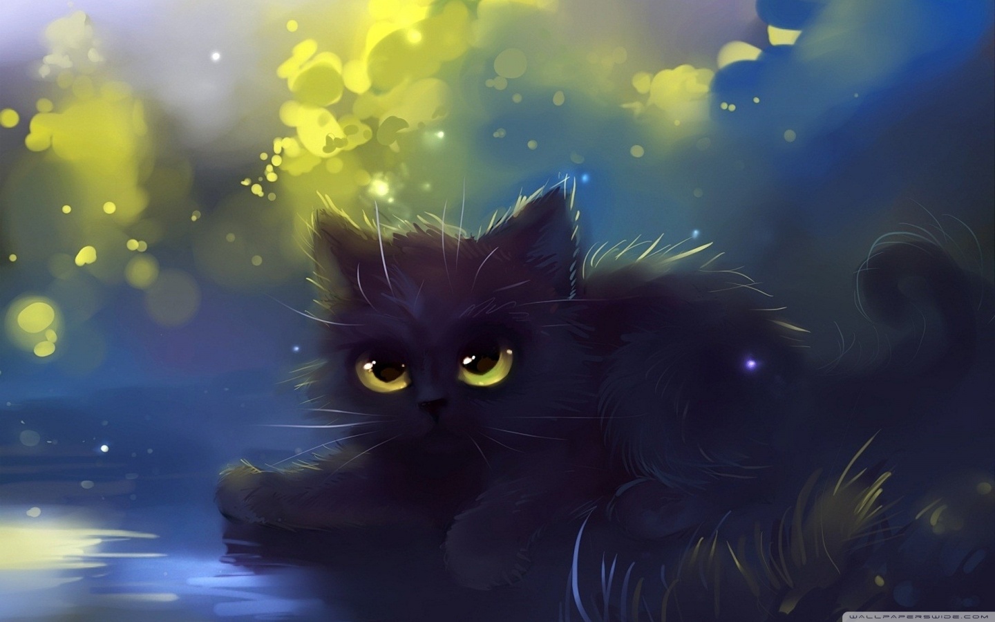 Cats Fantasy Ultra HD Desktop Background Wallpaper for : Widescreen