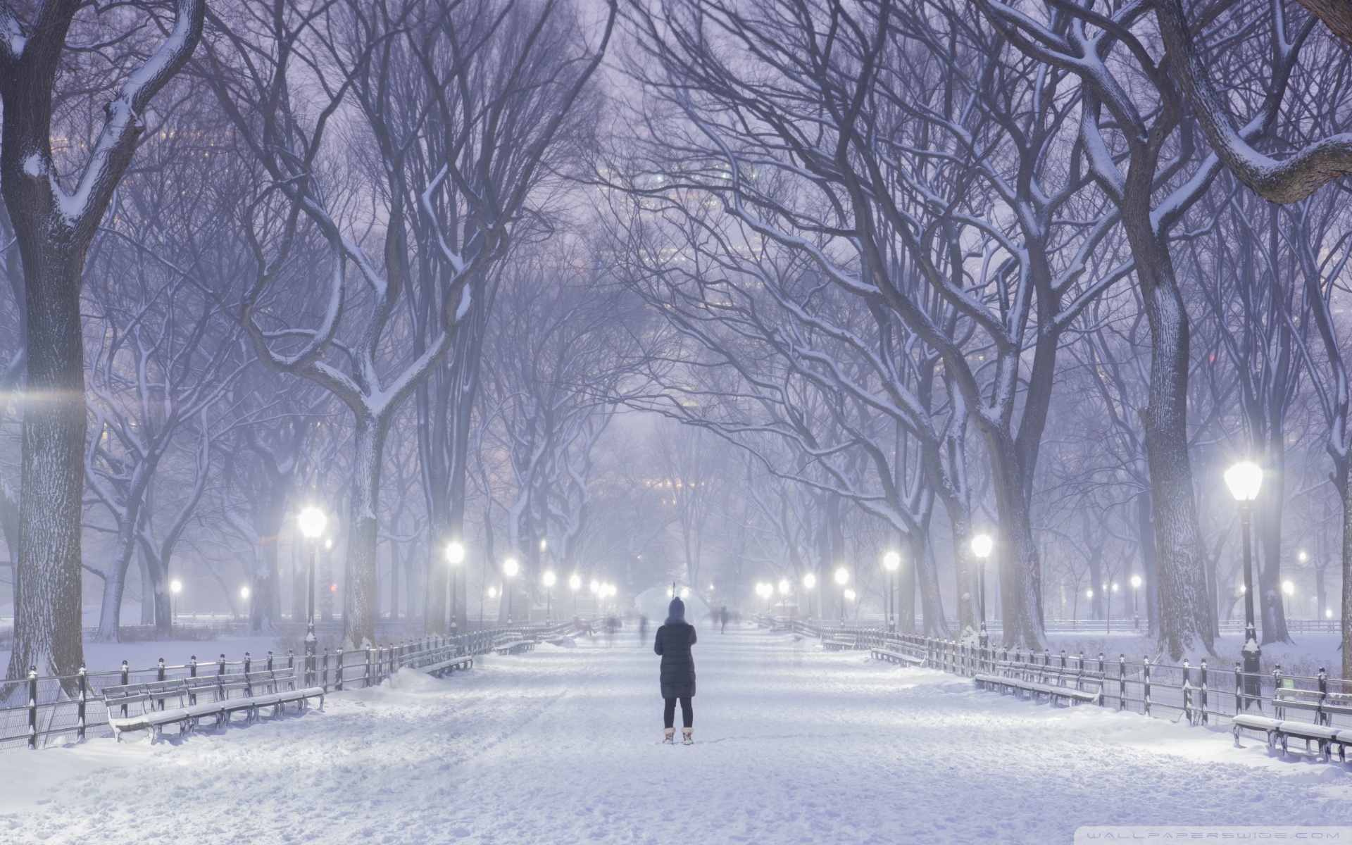 Central Park New York City Winter Background 4K HD Desktop