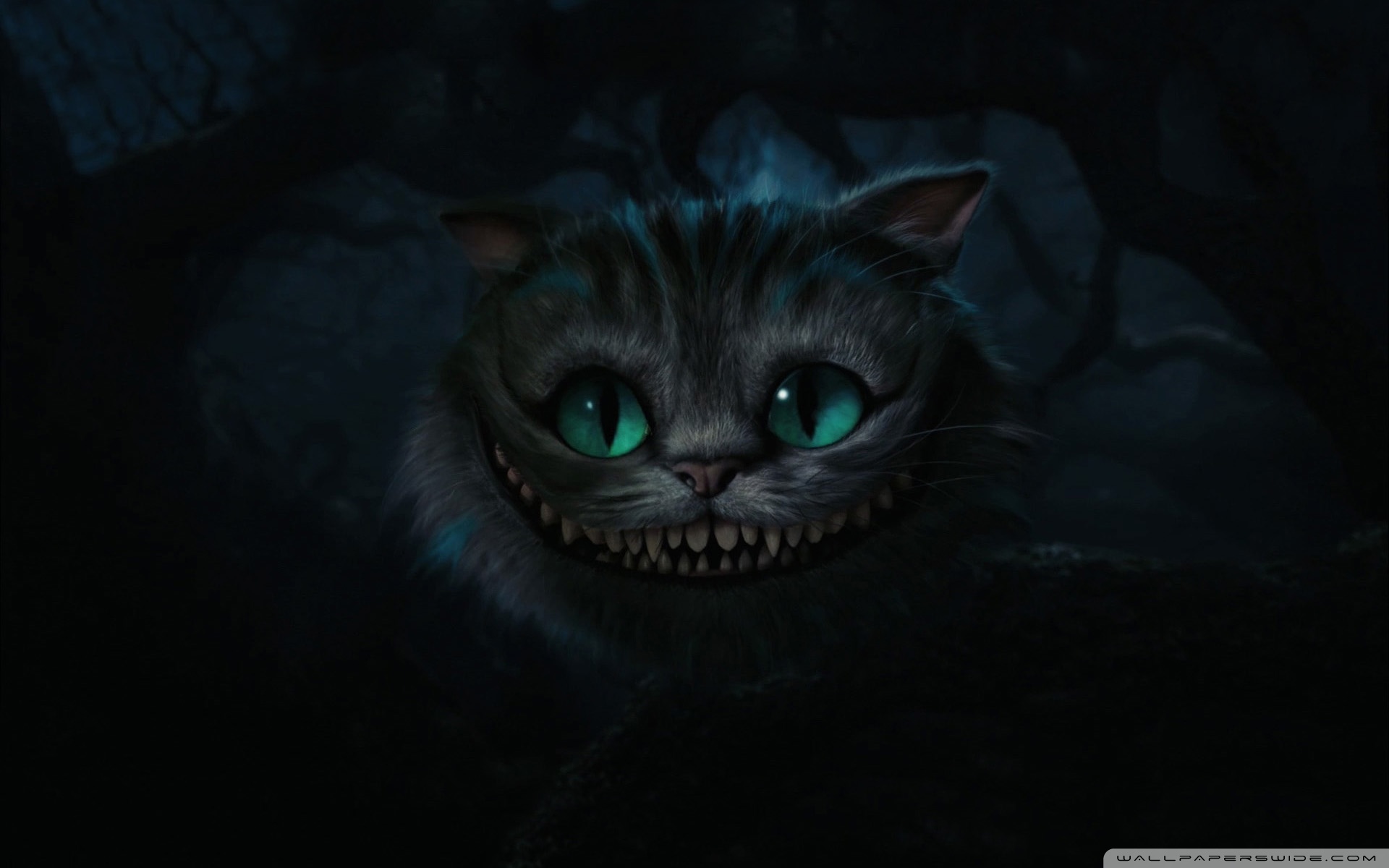 cat background wallpaper