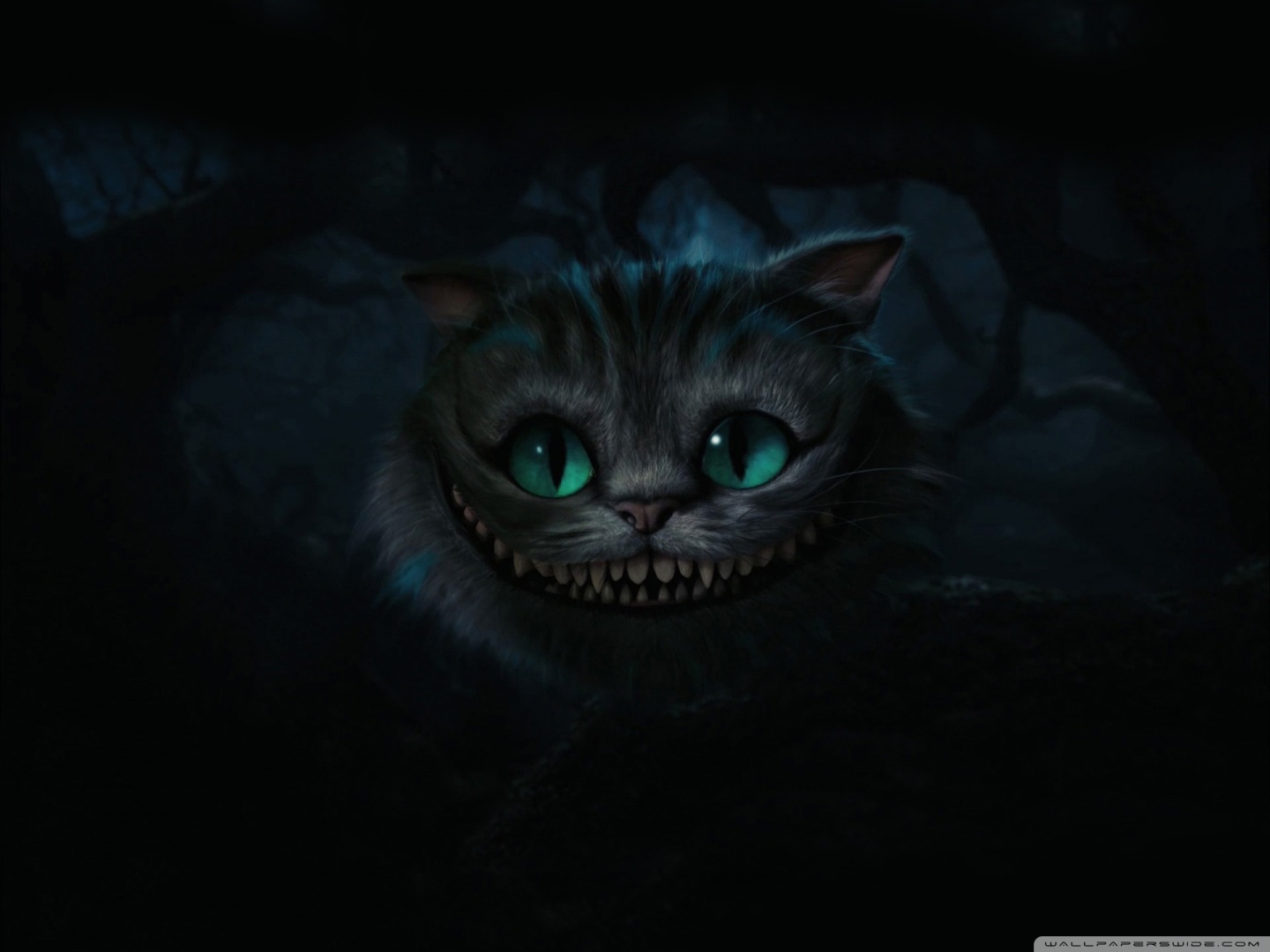 Cheshire Cat Alice In Wonderland Wallpapers The Soccer Walls