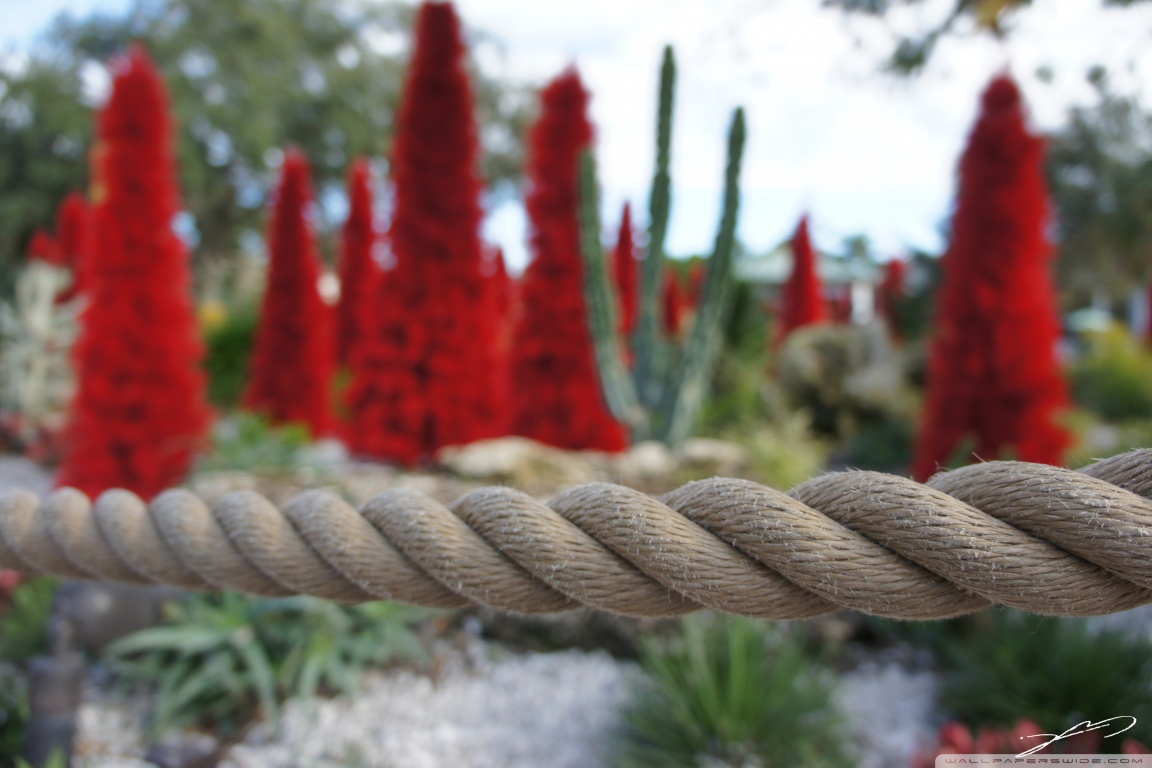 Christmas Ultra HD Desktop Background Wallpaper for 4K UHD TV