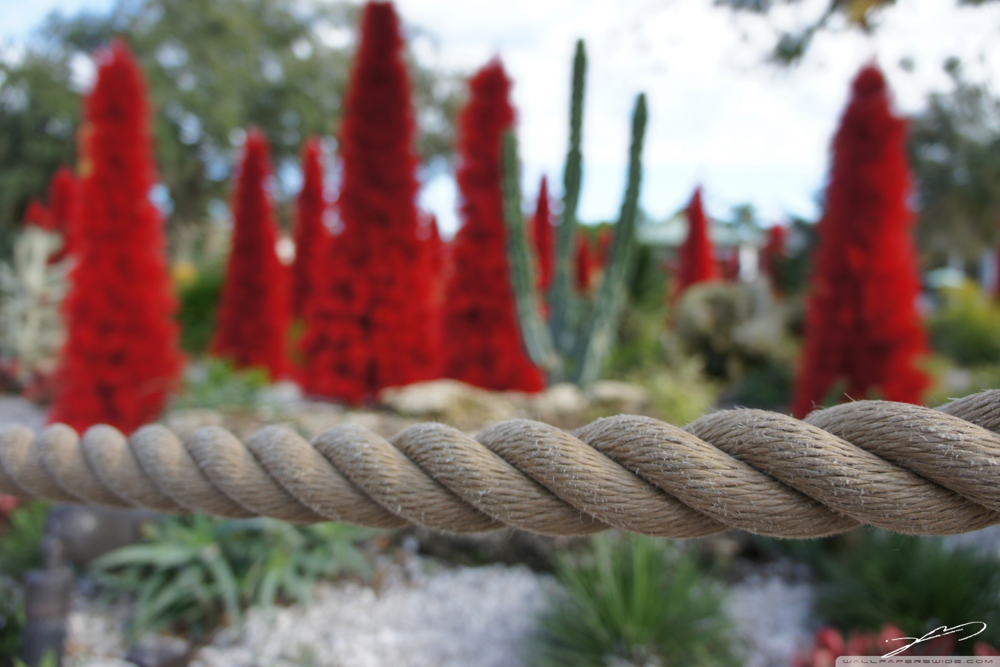 Christmas Ultra HD Desktop Background Wallpaper for 4K UHD TV