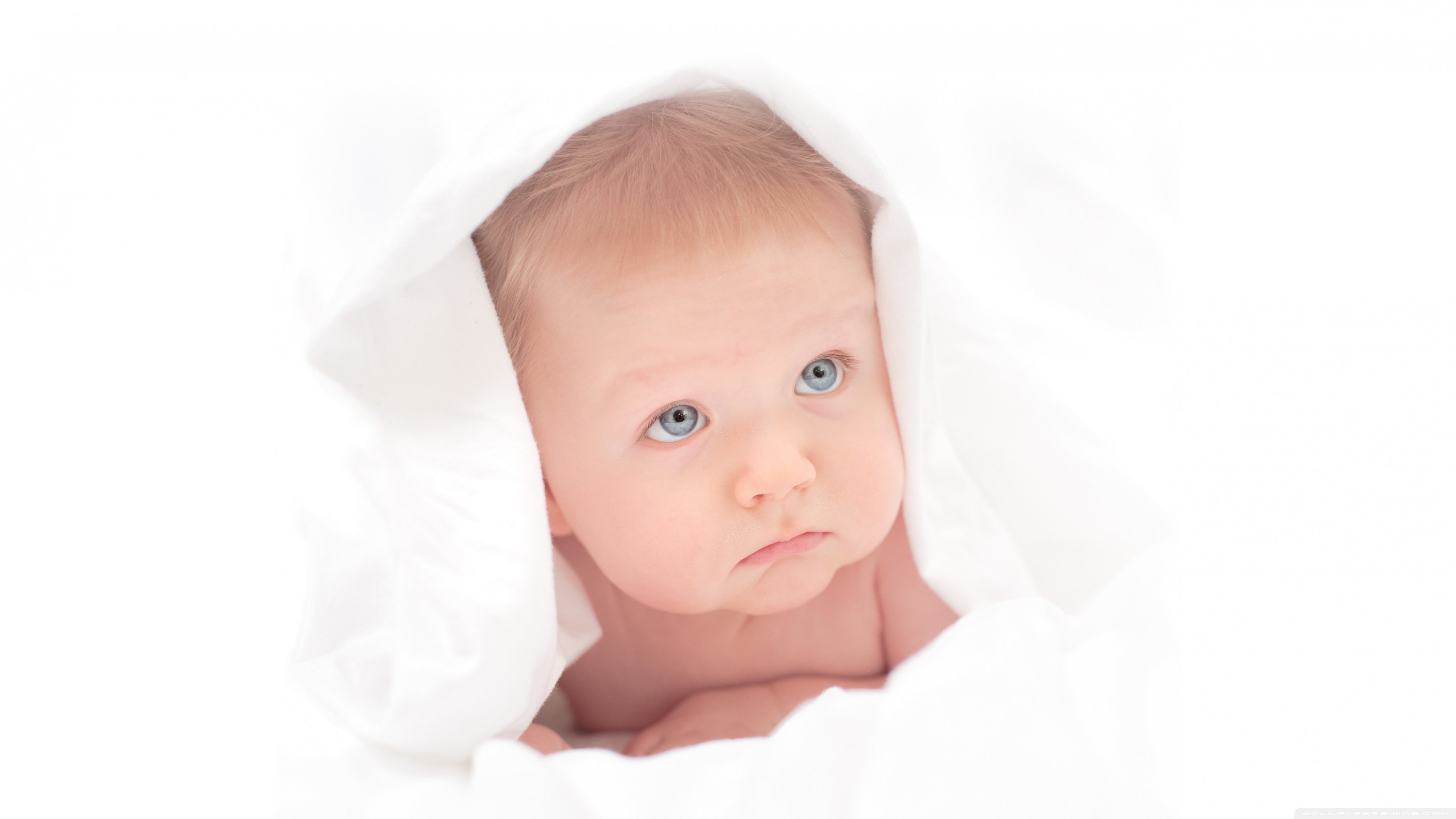 Cute Newborn Baby Boy Jacob Ultra HD Desktop Background Wallpaper for 4K  UHD TV : Tablet : Smartphone