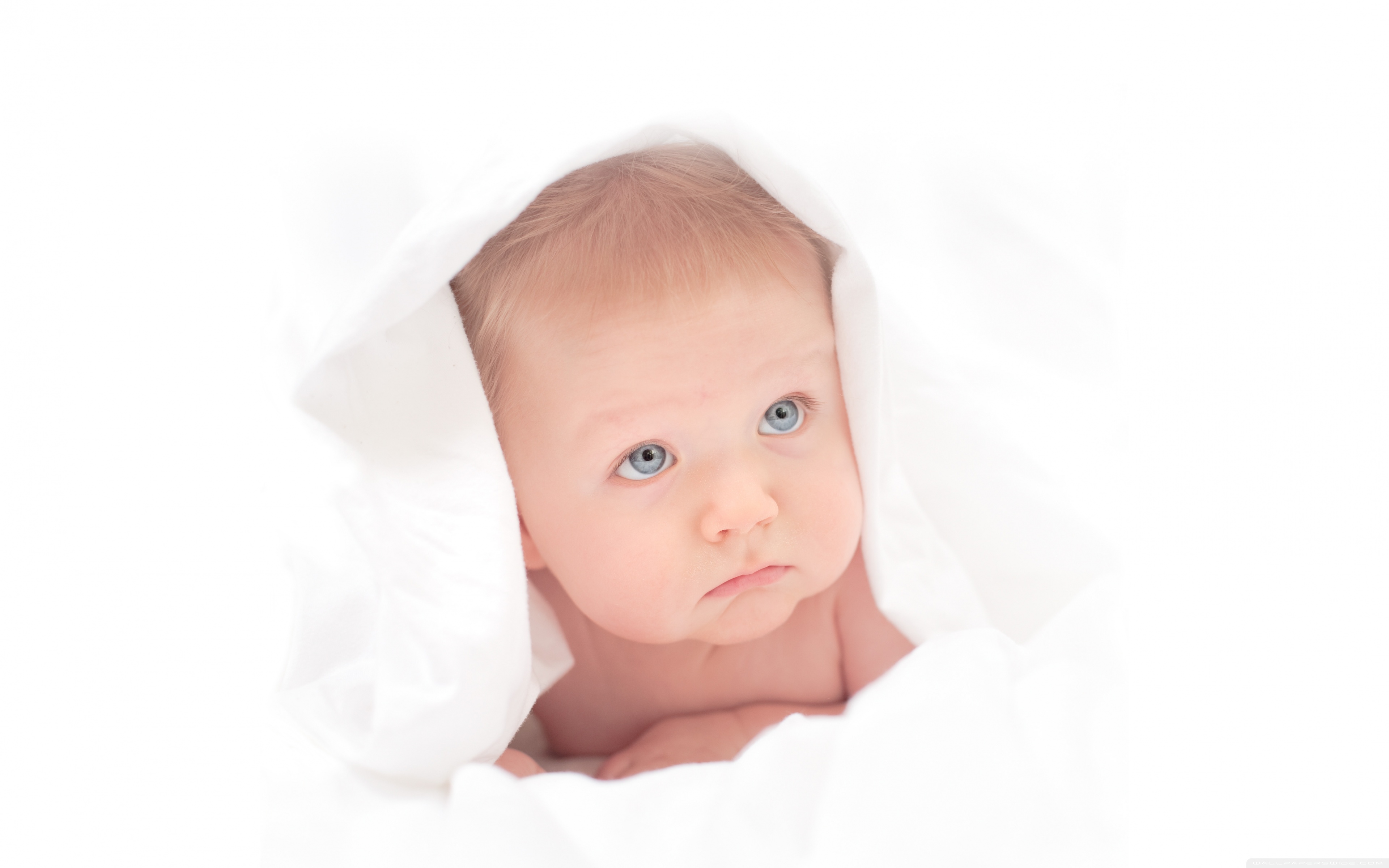 Cute Newborn Baby Boy Jacob Ultra HD Desktop Background Wallpaper for 4K  UHD TV : Tablet : Smartphone