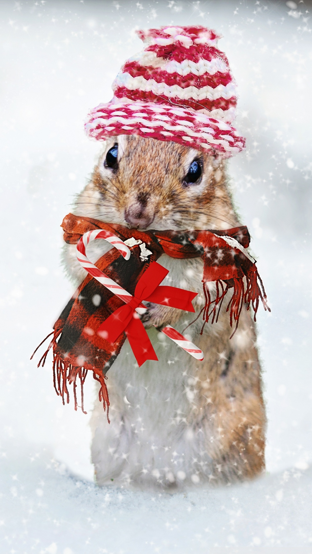 Download 21 cute-winter-wallpaper Cute-Squirrel-Snowfall-Winter-Holidays-4K-HD-Desktop-.jpg