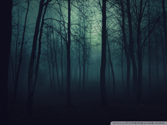 dark forest wallpaper. Dark Forest desktop wallpaper