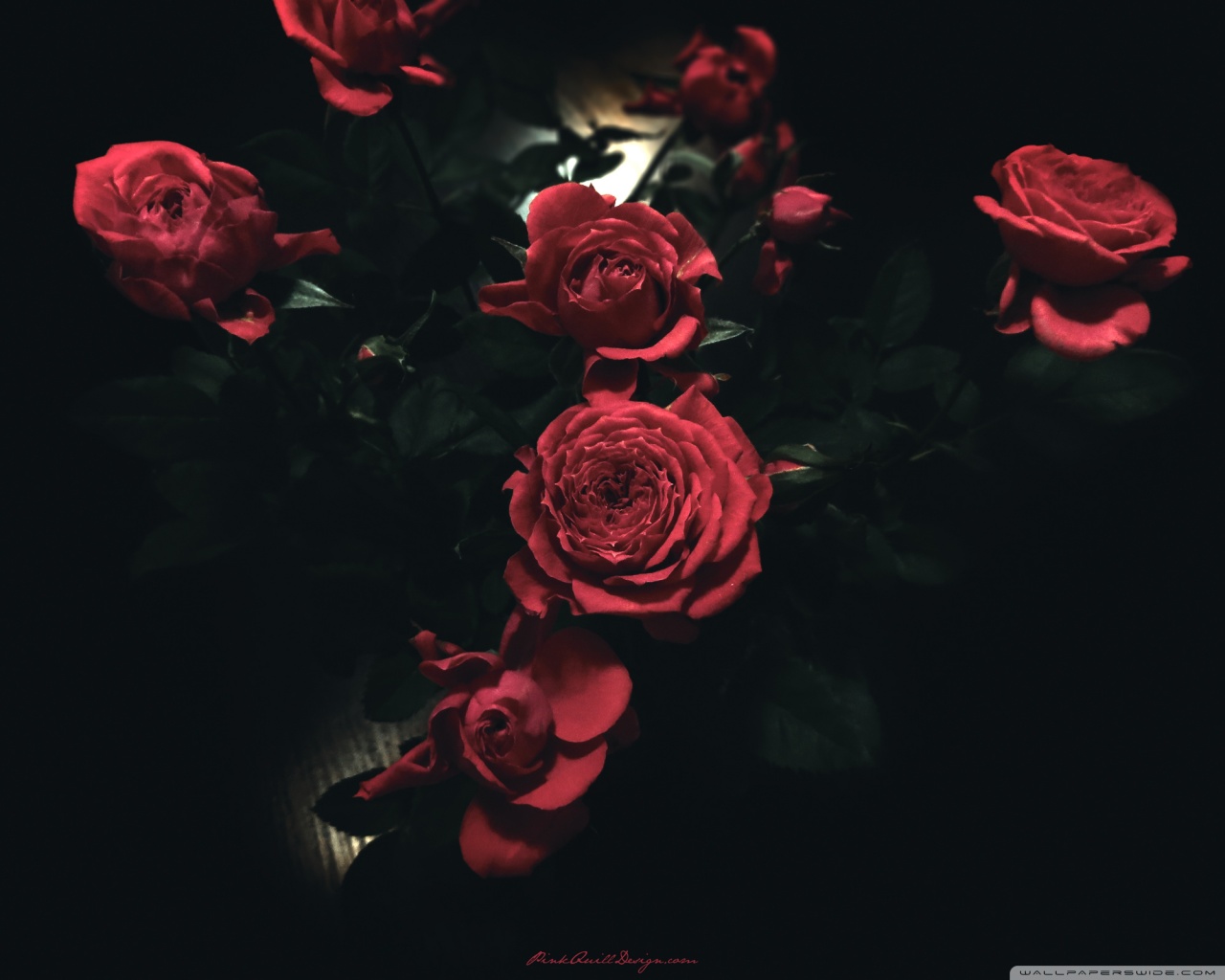 tumblr dark backgrounds Roses Widescreen Dark High : HD wallpaper : desktop