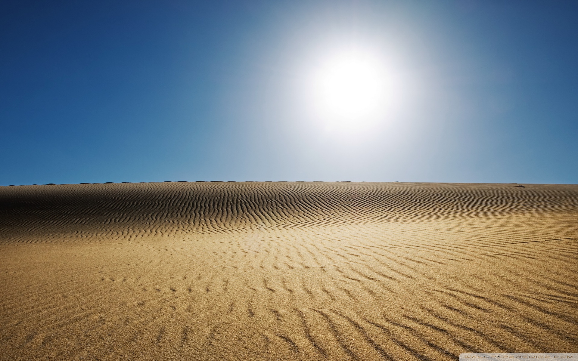Sun In Desert