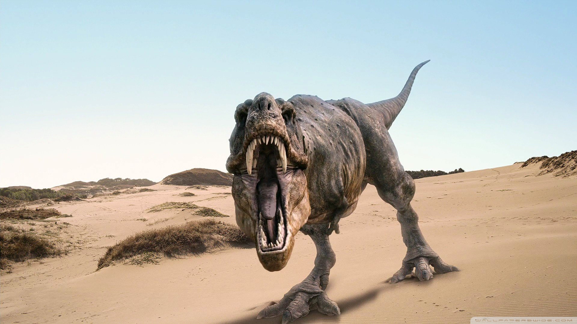 Featured image of post Desktop Wallpaper Dinosaur Wallpaper 4K Looking for the best dinosaur wallpaper