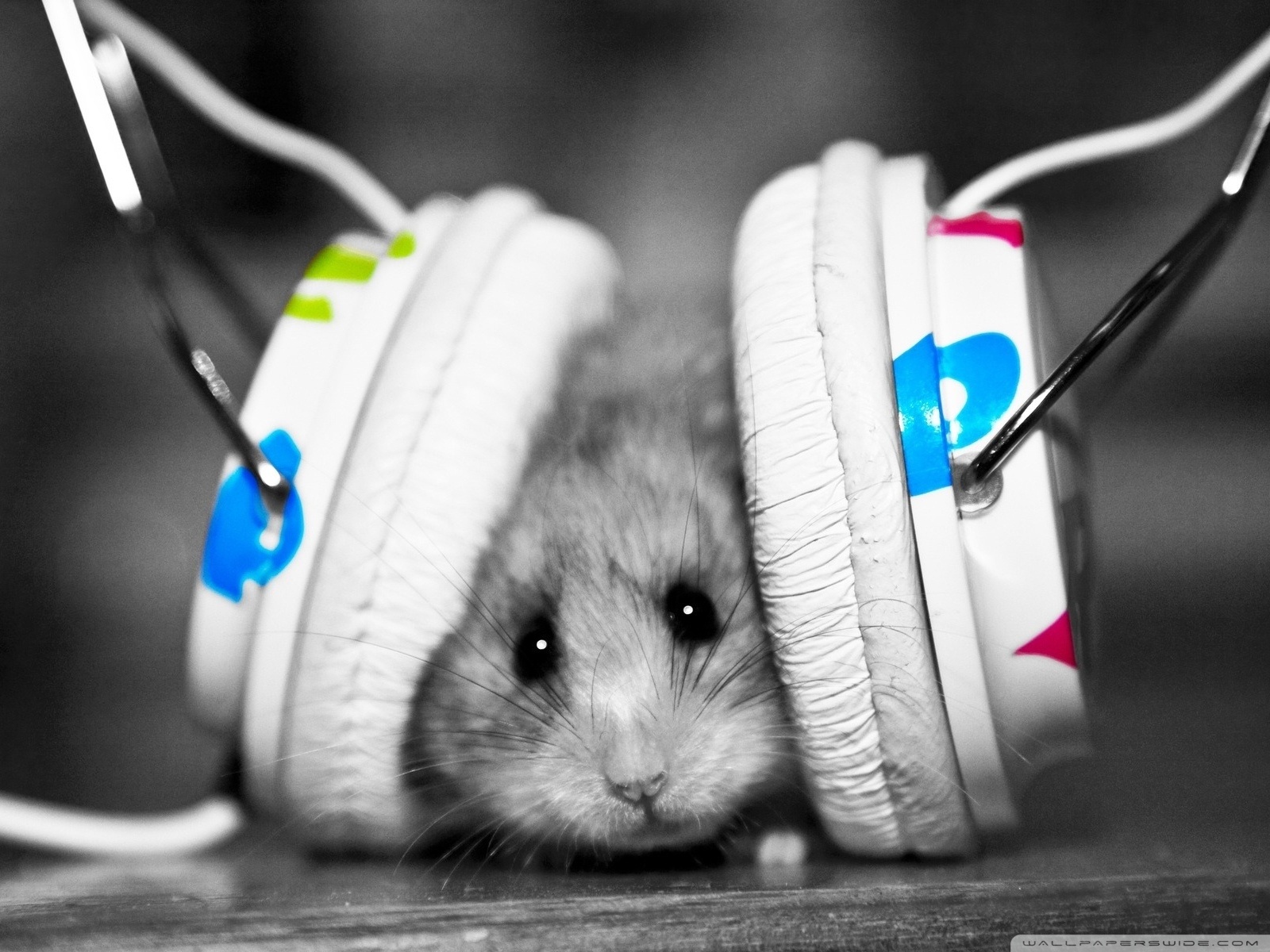 DJ Mouse Rainbow Color Rattus Rodent Hamster Music DJ Rat Camiseta sin Mangas 