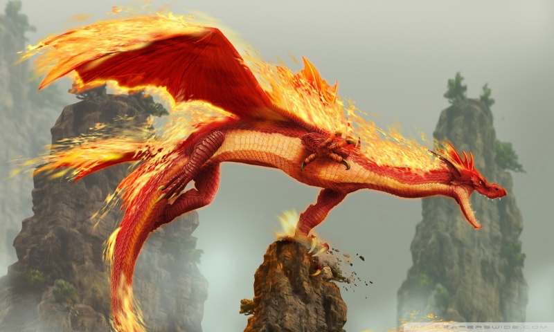 dragon wallpaper fire. Dragon Blade Wrath of Fire