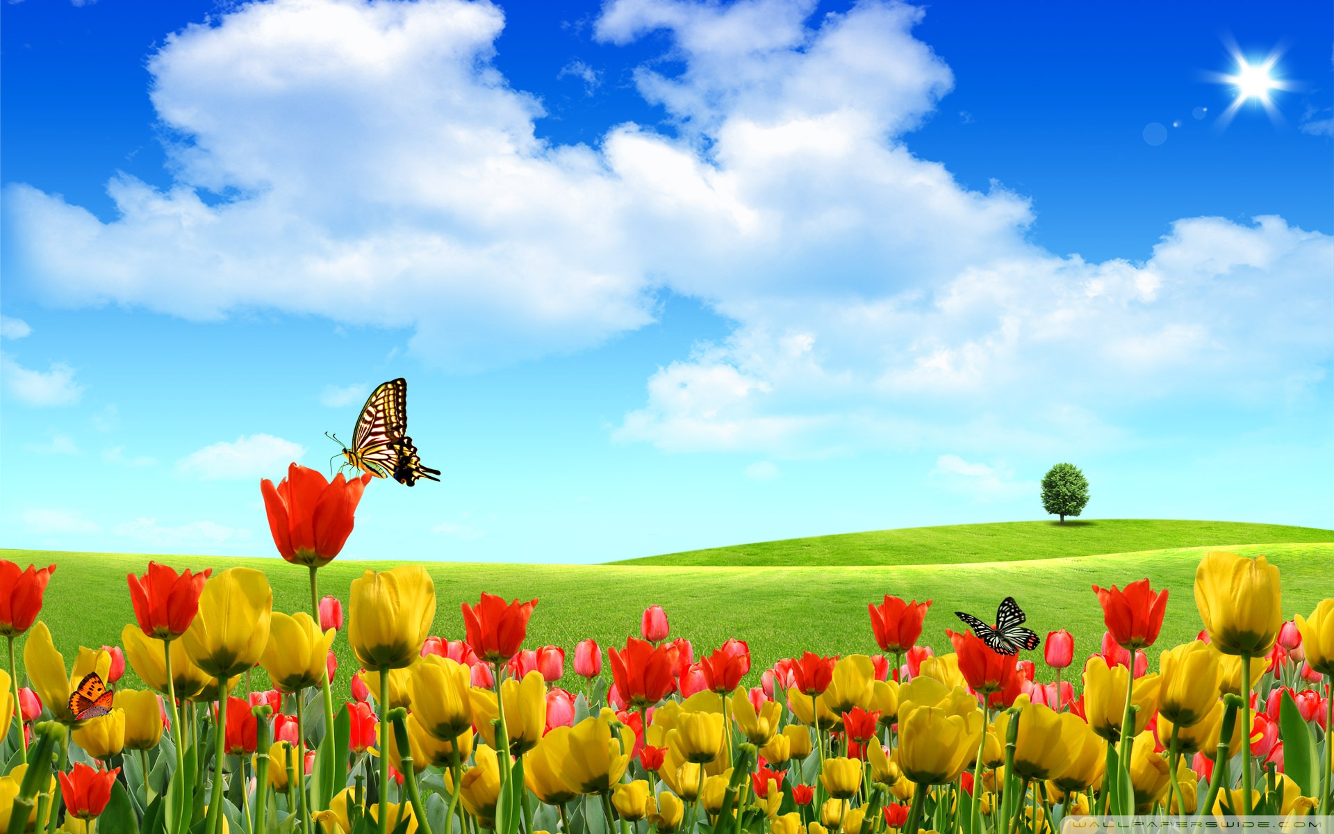 Dreamscape Spring 4K HD Desktop Wallpaper for 4K Ultra HD 
