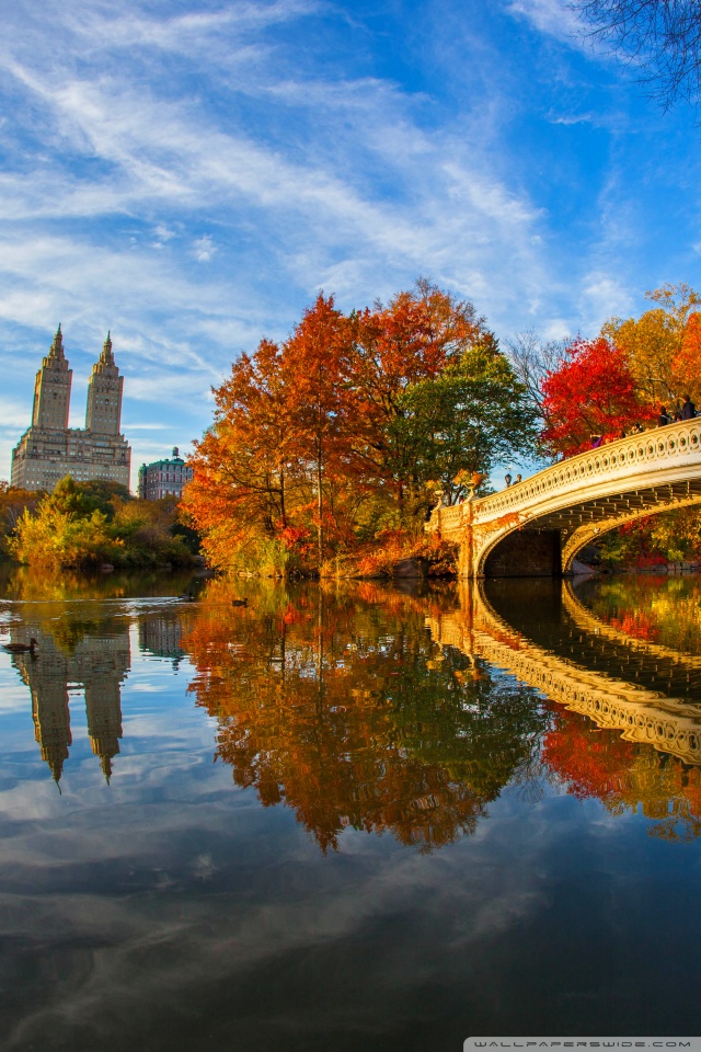 Fall Foliage In Central Park New York City 4k Hd Desktop