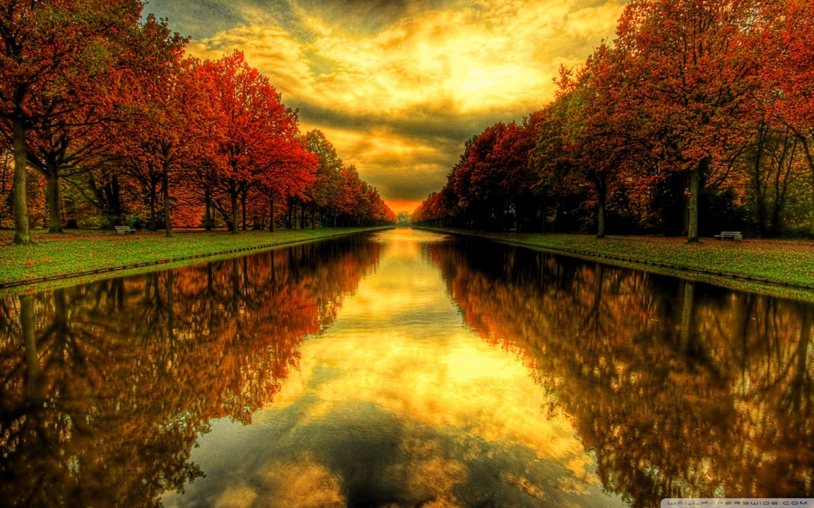 fall reflections