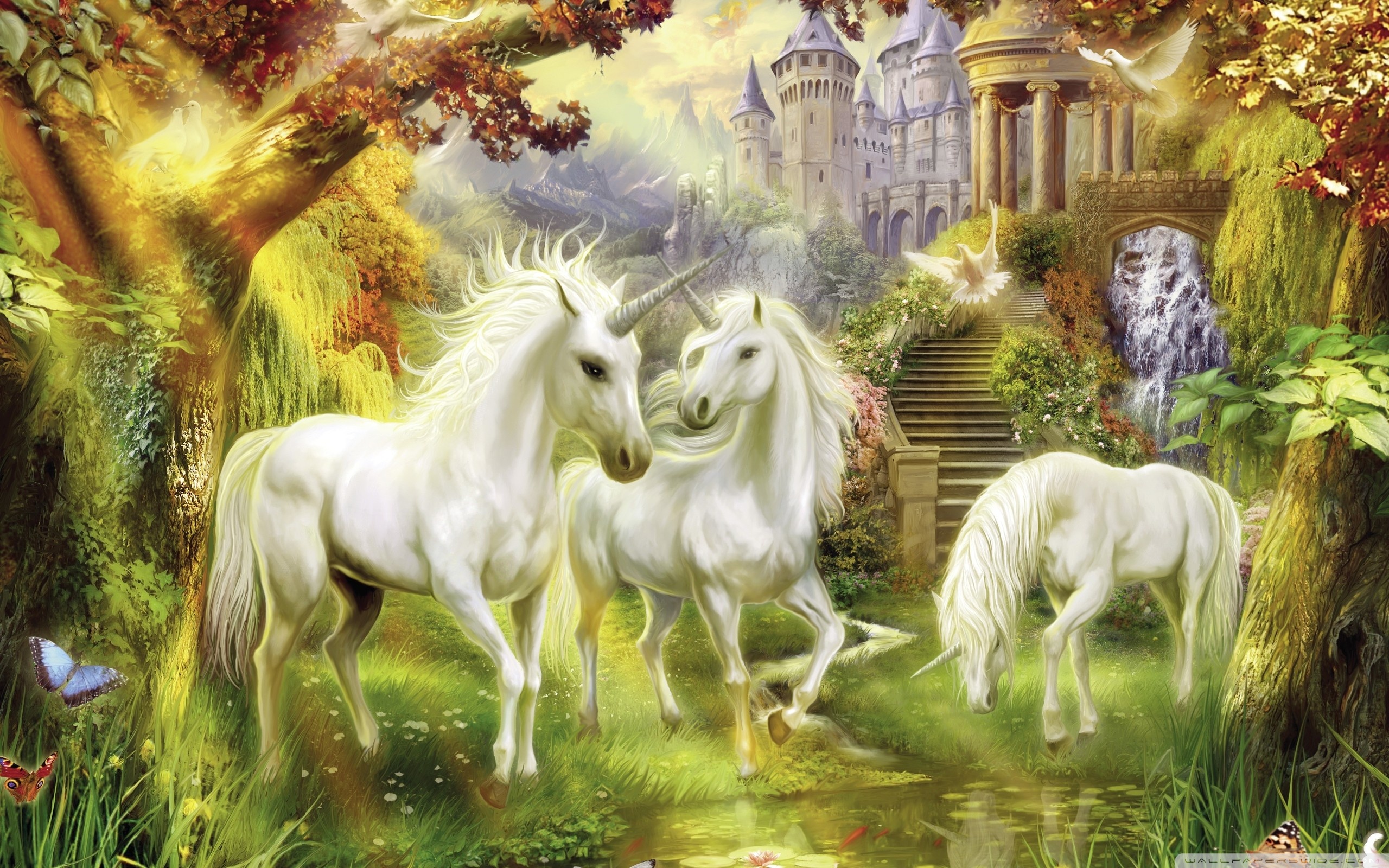 Fantasy Unicorns 4K HD Desktop Wallpaper For 4K Ultra HD TV