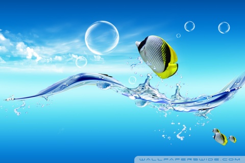 Fish Jumping Out Of The Water Ultra HD Desktop Background Wallpaper for 4K  UHD TV : Widescreen & UltraWide Desktop & Laptop