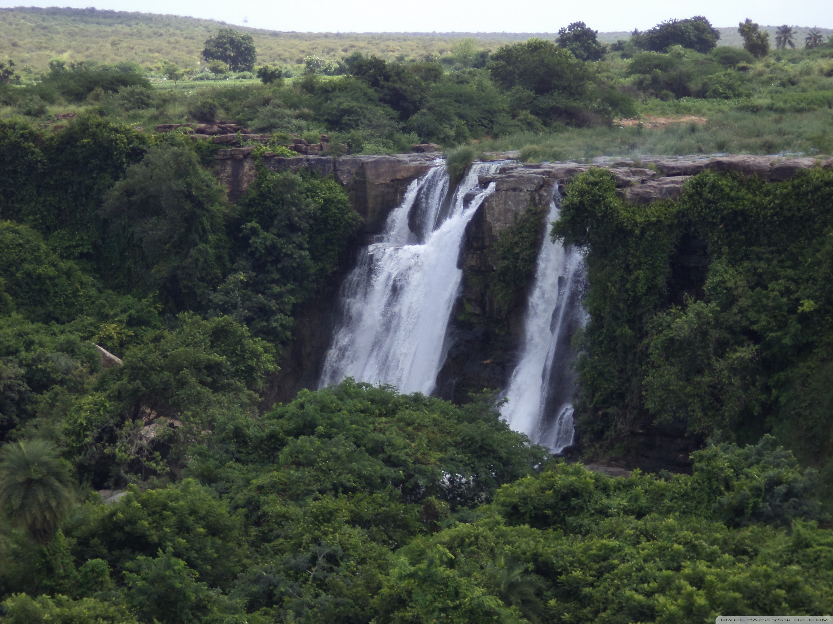 Fisher Ultra HD Desktop Background Wallpaper for