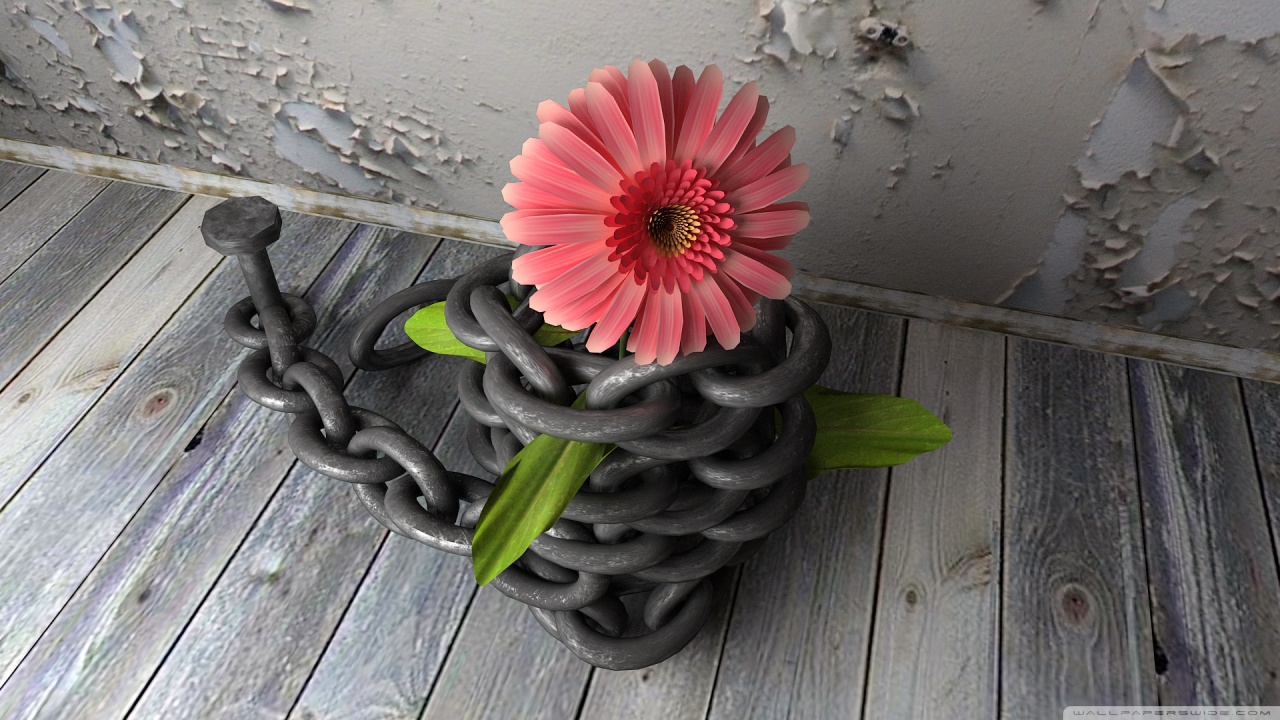Wallpaper 3d Flower Hd Desktop Best Beach Pictures