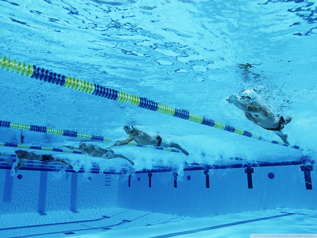 Freestyle Swimming Ultra HD Desktop Background Wallpaper ...