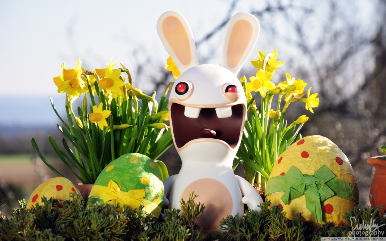 Funny Easter Bunny Ultra HD Desktop Background Wallpaper ...