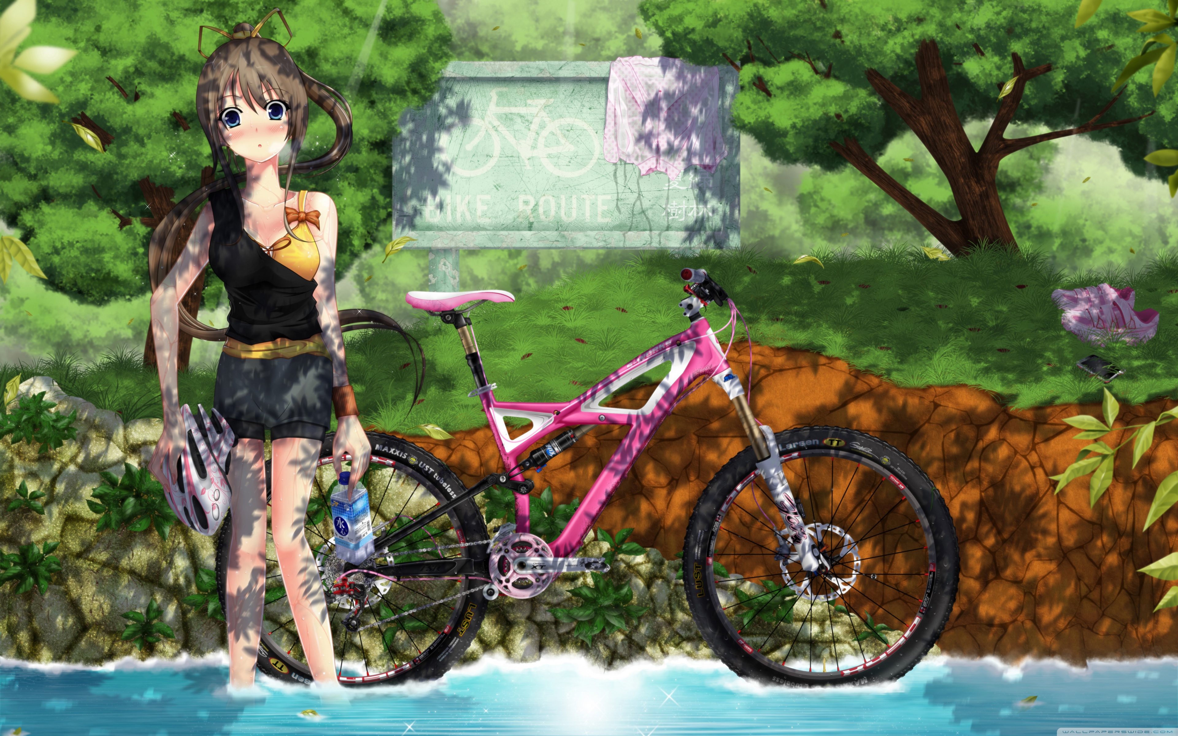 Girl With Bicycle Ultra HD Desktop Background Wallpaper for 4K UHD TV :  Tablet : Smartphone