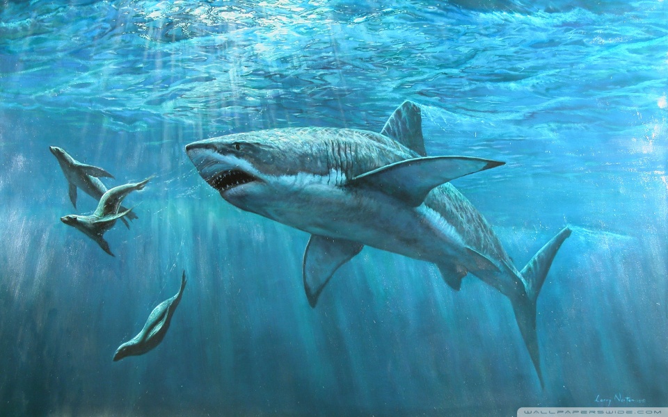 Great White Shark Painting HD