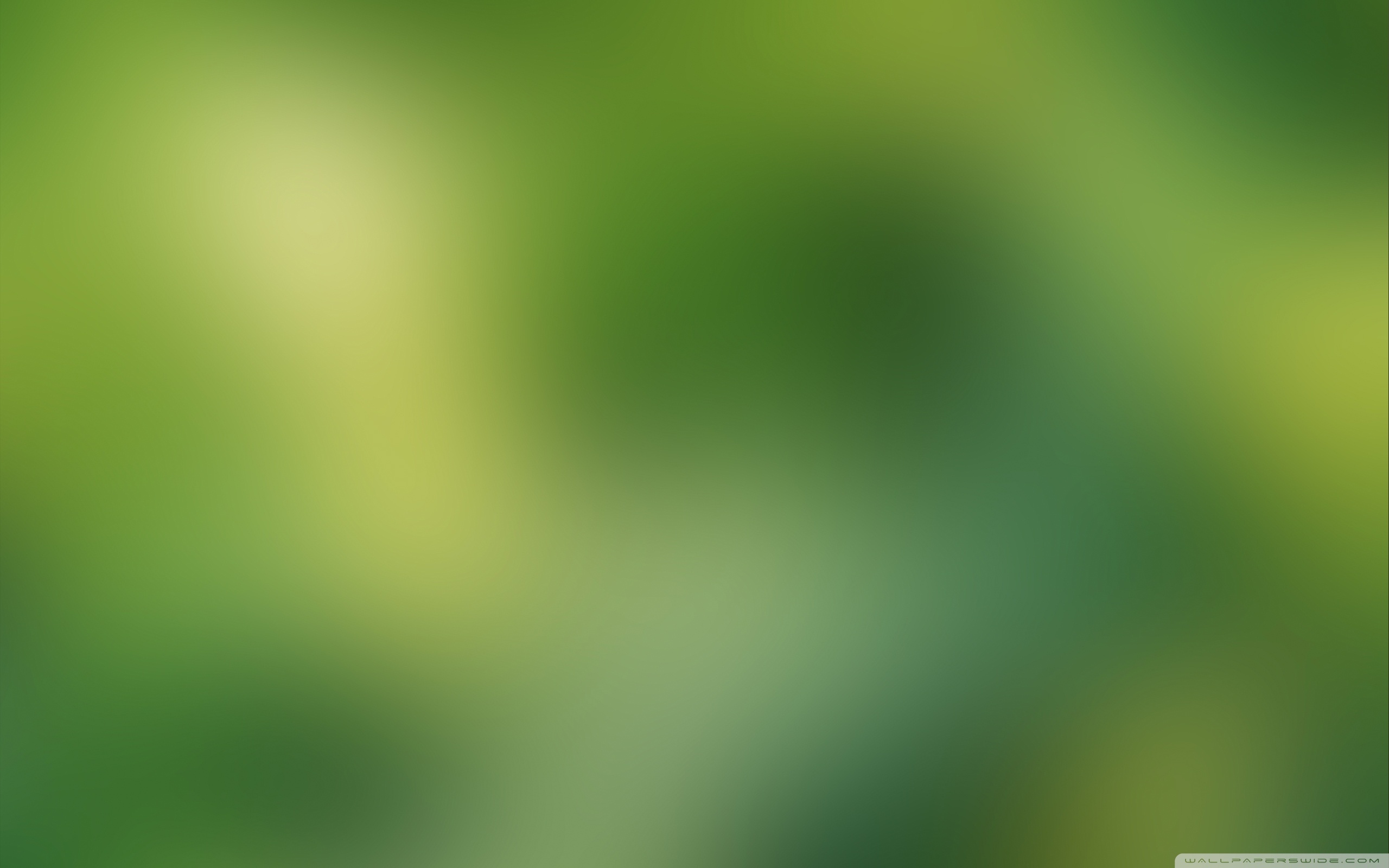 Green Blurry Background 4K HD Desktop Wallpaper For 4K Ultra HD