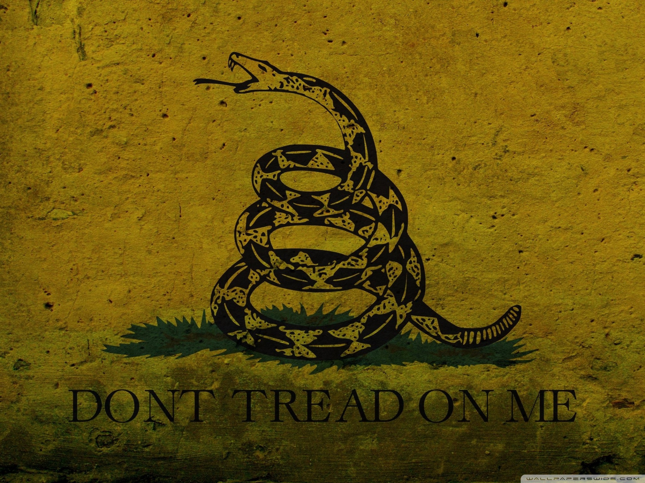 Wallpaper dont tread on me. 