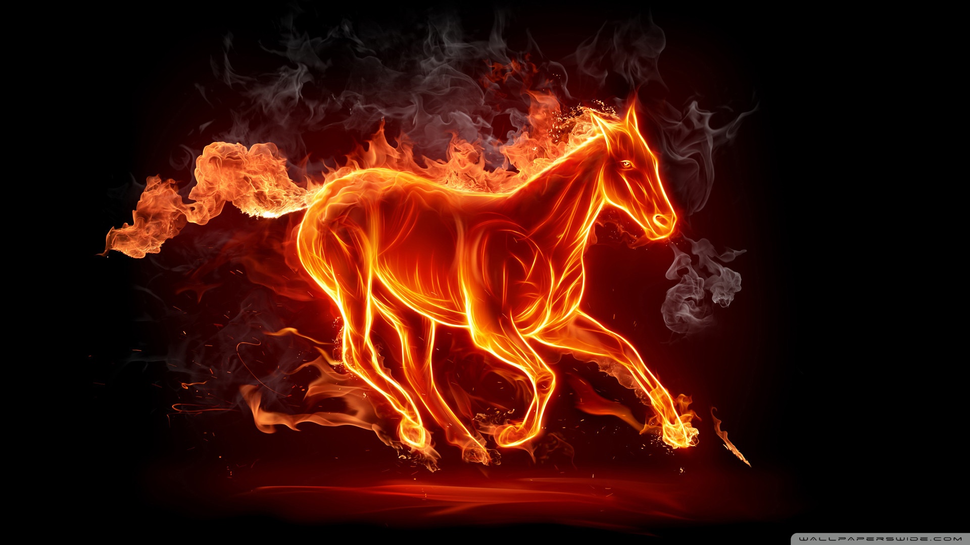 Horse Fire Ultra HD Desktop Background