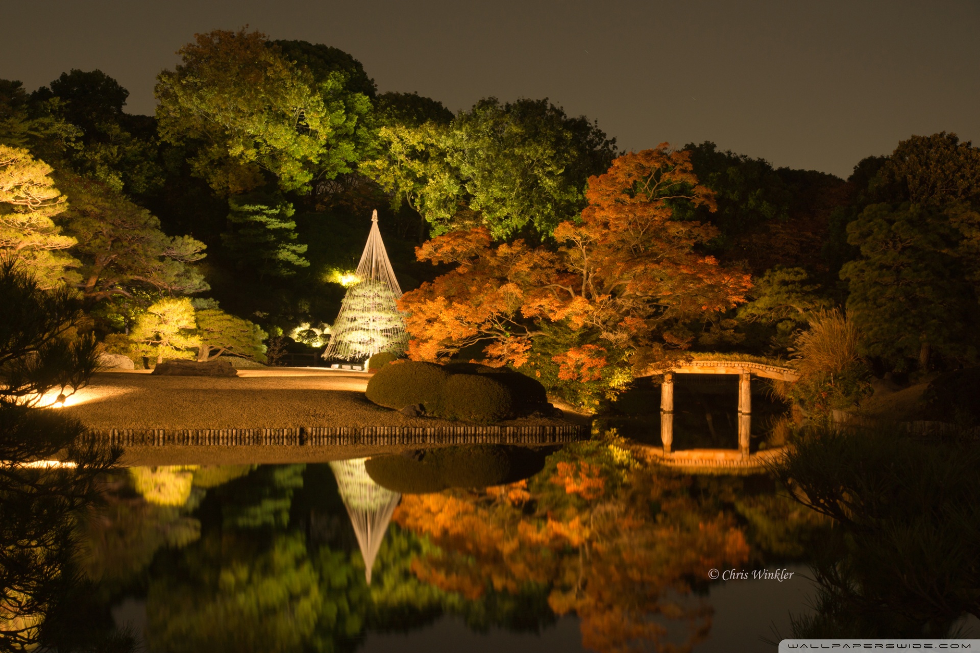 Japanese Garden at Night Ultra HD Desktop Background ...
