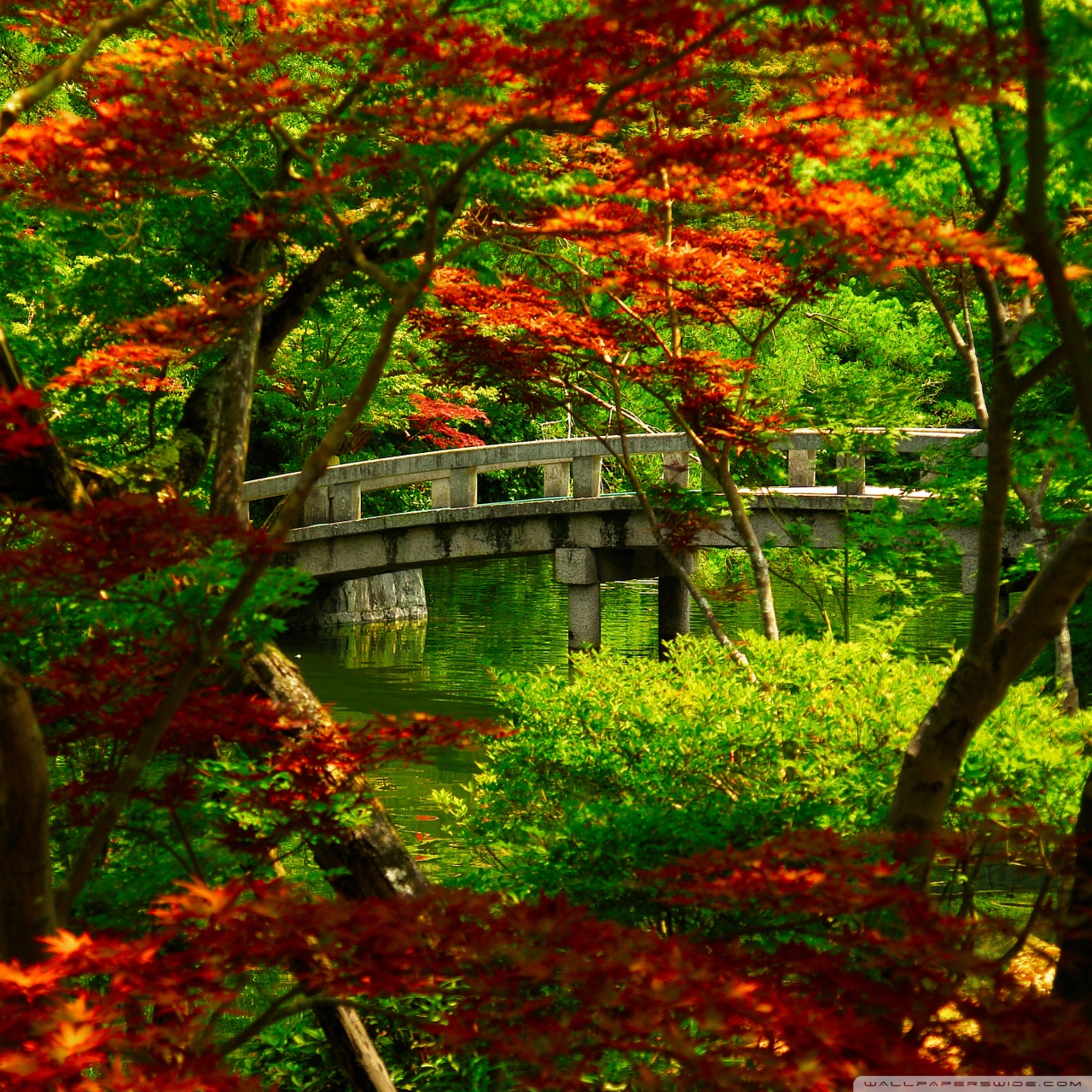 Japanese Garden Kyoto 4K HD Desktop Wallpaper For 4K Ultra HD
